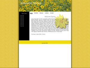 View Design