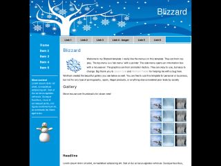 Blizzard