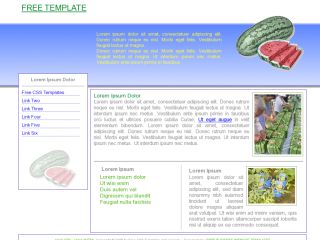 Business Web Template 019