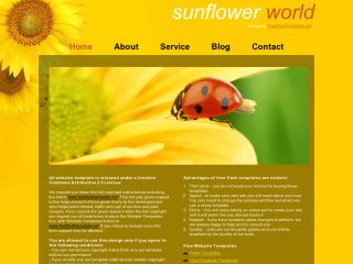 Sunflower world